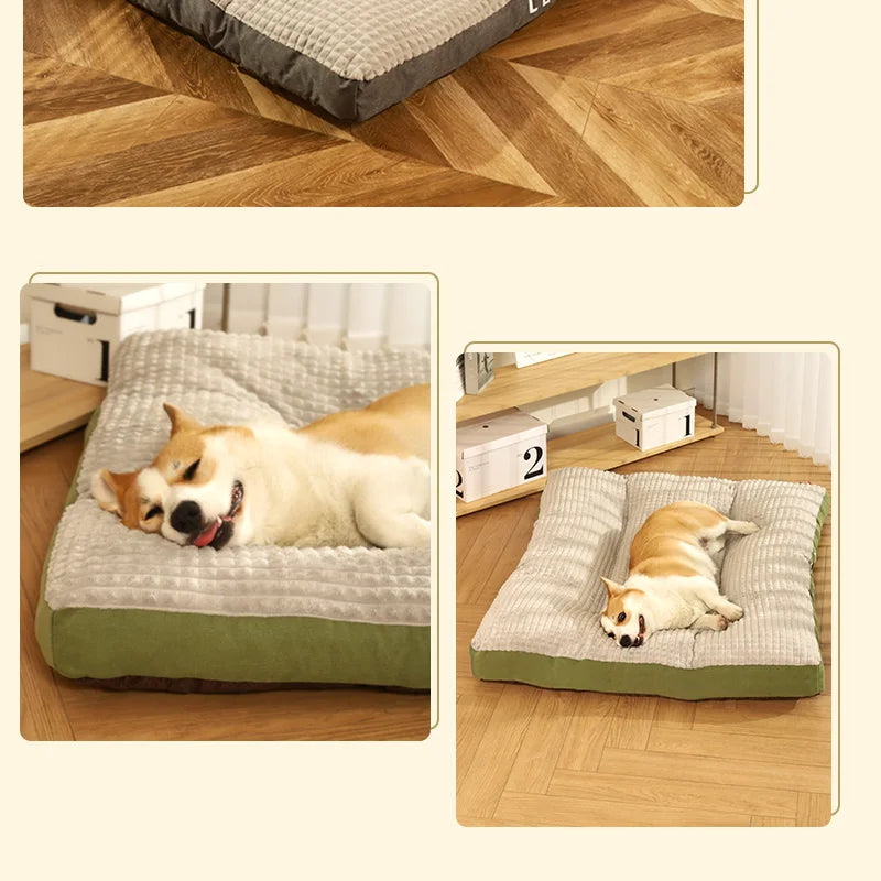 Comfy Bed