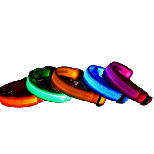 Led Dog Collar