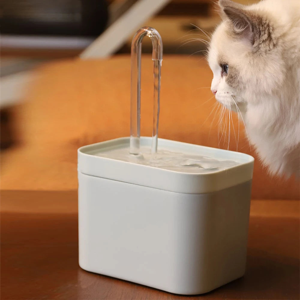 Automatic Water Fountain